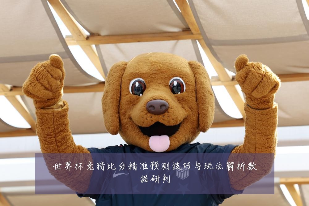 世界杯竞猜比分精准预测技巧与玩法解析数据研判